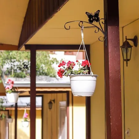 Gæstehus Ideal Bungalow For 2 Or 3 Guests Surrounded By A Lovely Garden